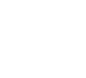 TELMAX