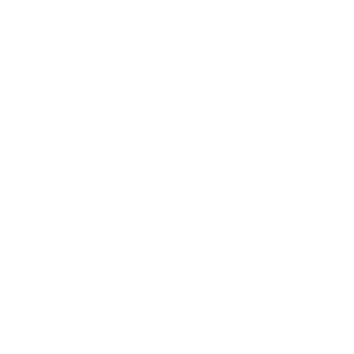 TELMAX